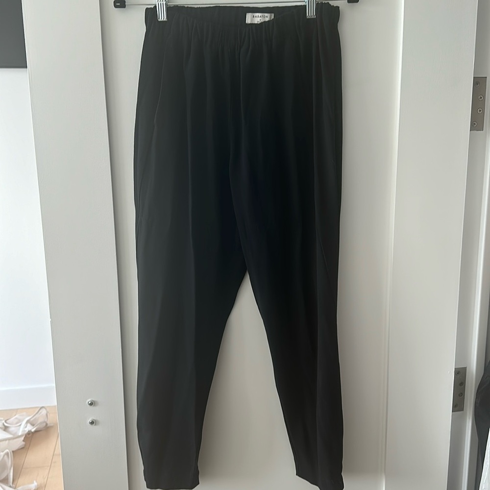 Babaton trouser pants from Aritzia